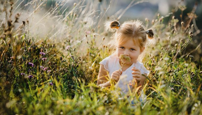 Отдых в Карпатах для семьи с детьми — как интересно провести время