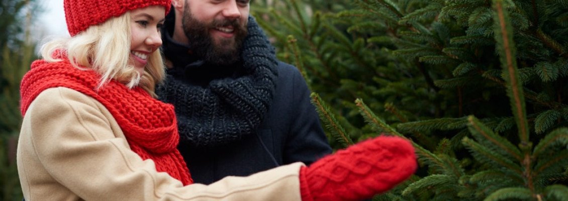 Зимові свята — традиції, сімейний відпочинок і подорож до Карпат