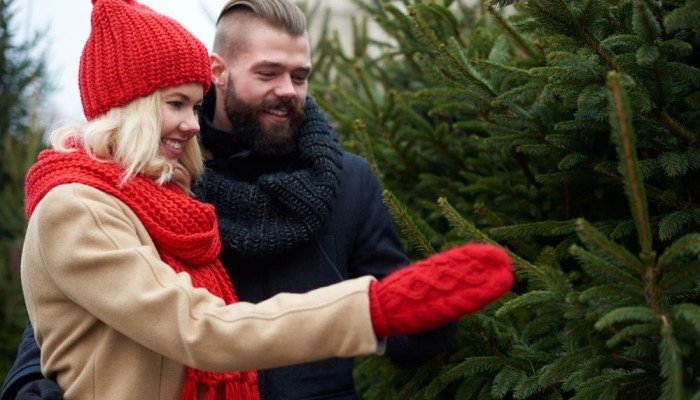 Зимові свята — традиції, сімейний відпочинок і подорож до Карпат