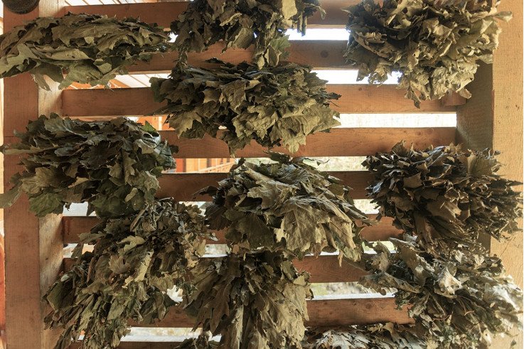 горячие бани закарпатья