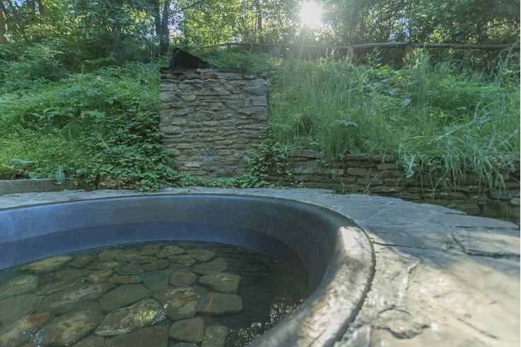 відпочинок в закарпатті з чанами