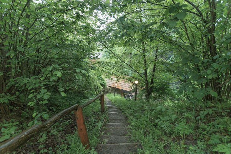 горячие чаны закарпатья