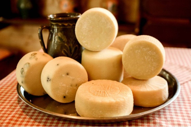 Сыроварня в Карпатах