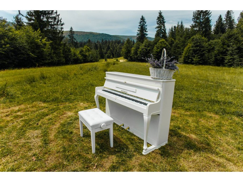 Арка для церемонии в горах