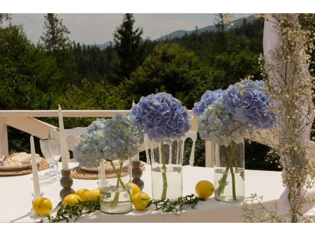 Локация для праздника на природе