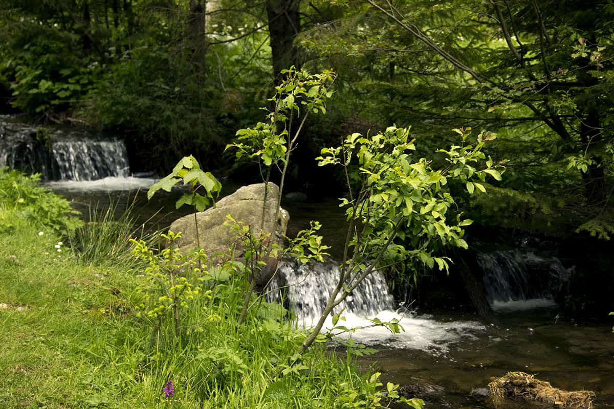 Где остановиться, чтобы посетить самые красивые озера Закарпатья