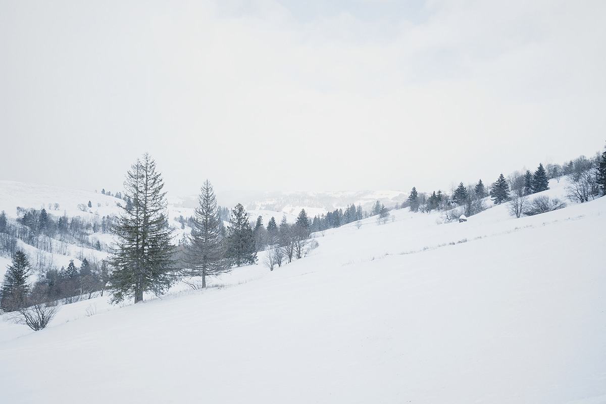 Засніжені Карпати взимку — атмосфера новорічних свят