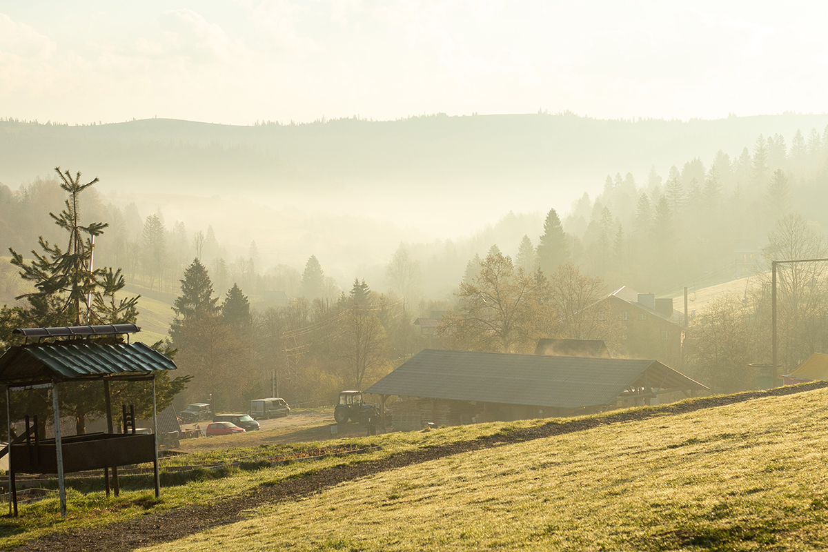 Отдых для молодоженов в Украине
