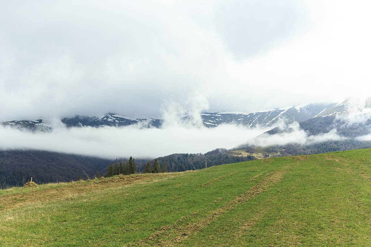 Отдых и рекреация