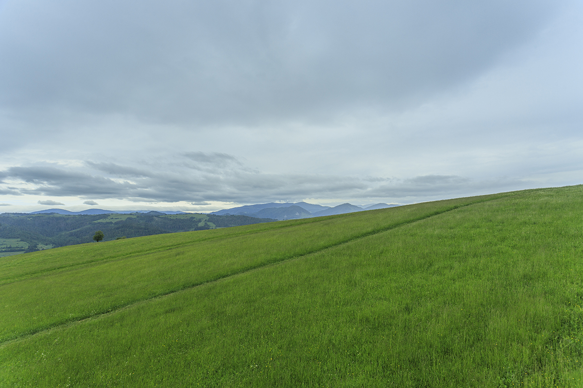 Что такое экологический туризм