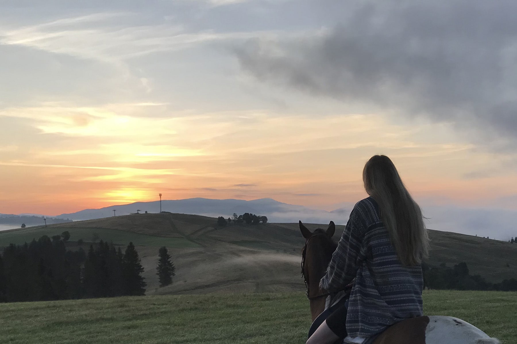 катание на лошадях