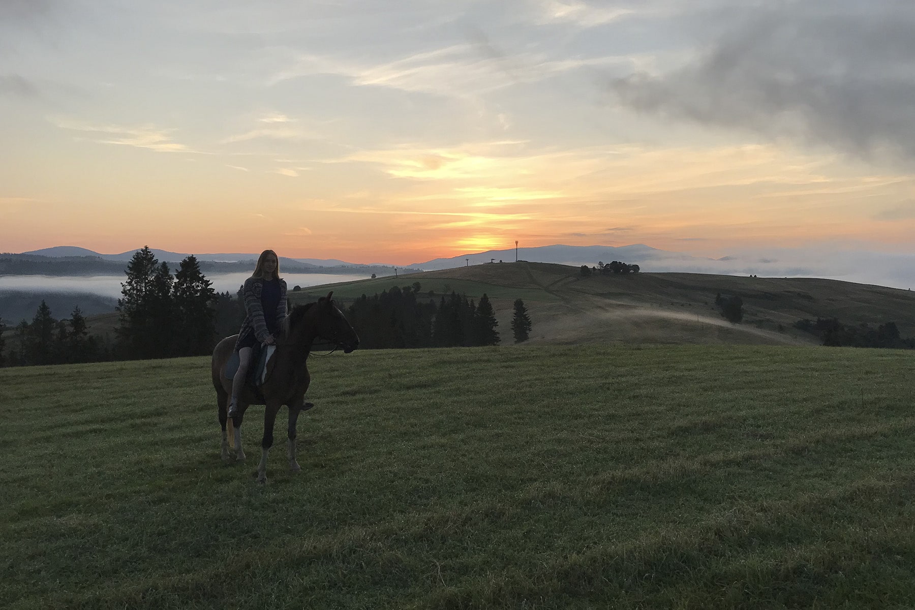 Конний спорт