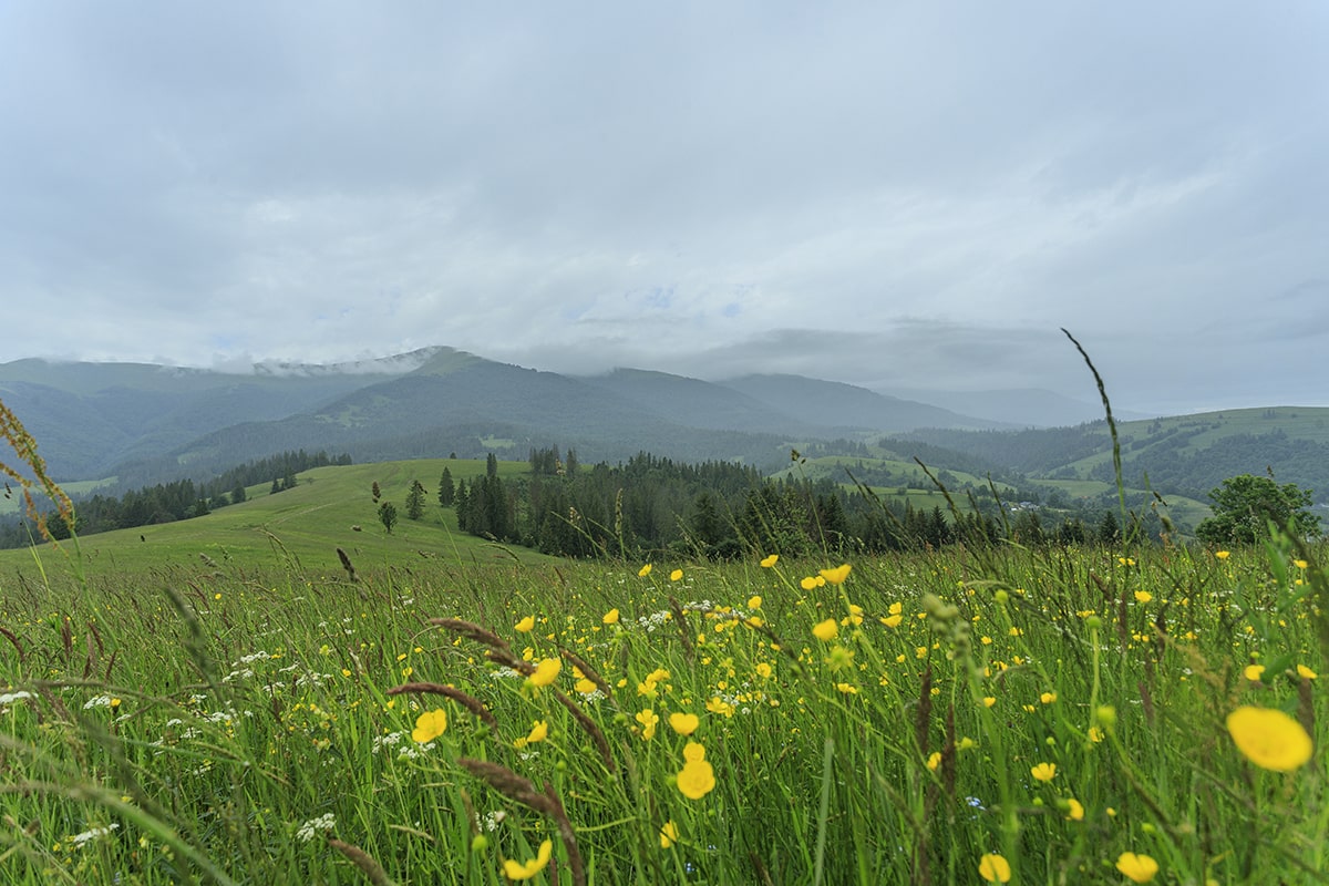 Преимущества отдыха на двоих в Карпатах