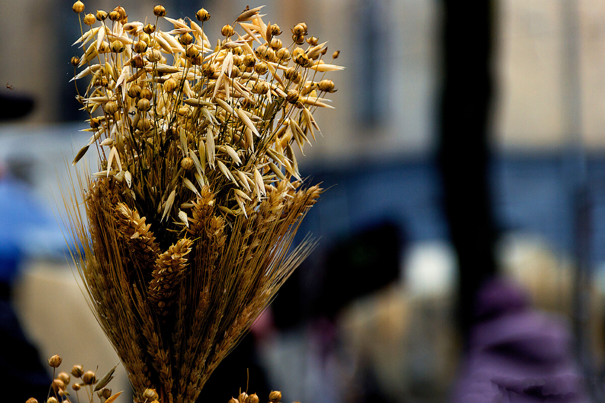 Особенности рождественских блюд в сочельник