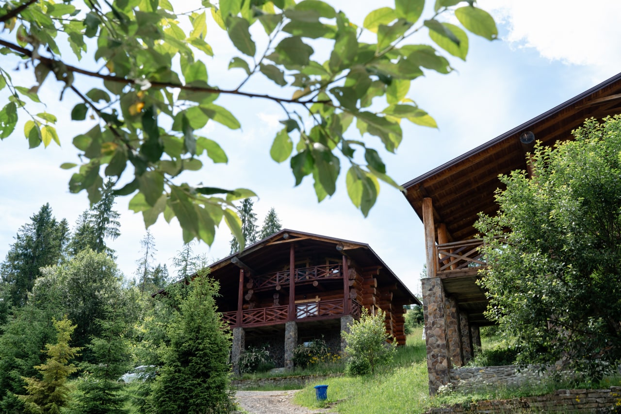 котеджі в Карпатах на території