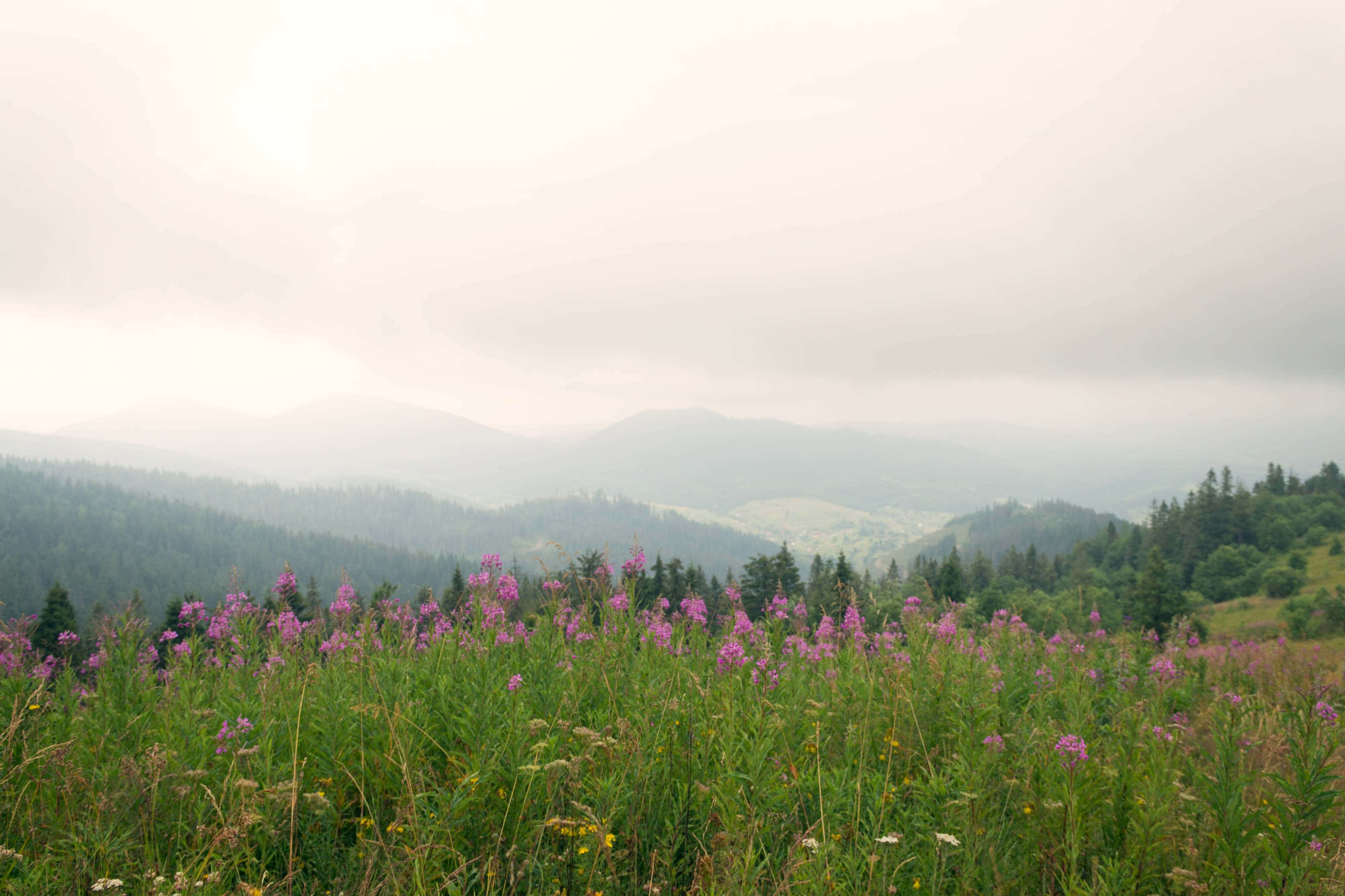 Где лучше остановится большой команде для тимбилдинга?