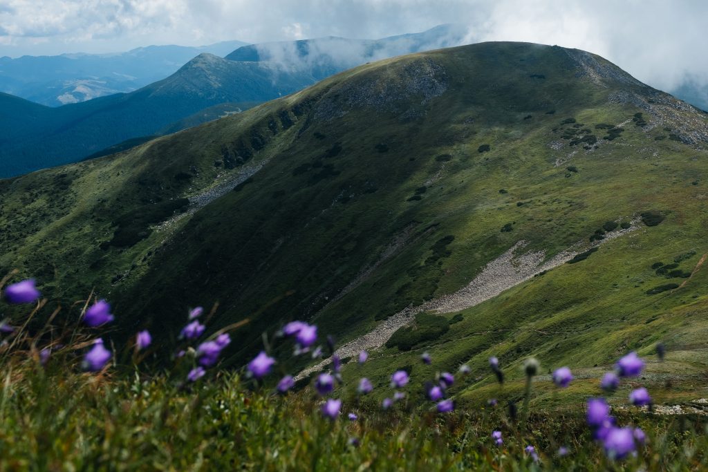Биосферный заповедник в Рахове