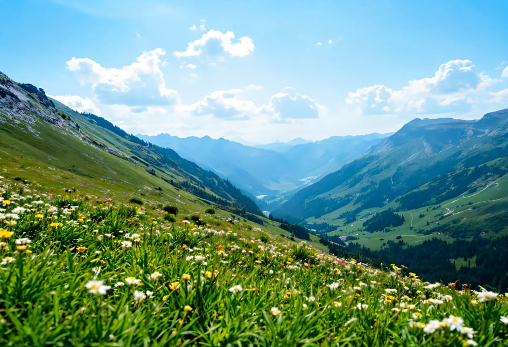 гори весною