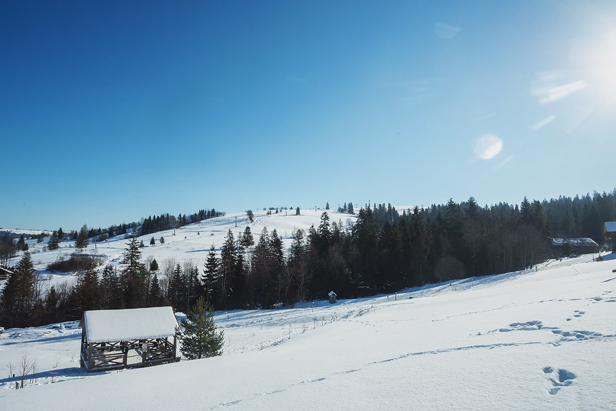 Гірський відпочинок на Новий рік у Карпатах — зимова природа